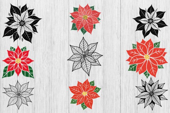 Download Poinsettia SVG Bundle, Christmas Svg - Svg bundle Collection